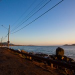 Paisagem sem sombras: extração de árvores exóticas muda visual no Morro das Pedras