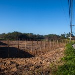Começam obras de construção de novo posto de saúde do Campeche