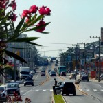 PROJETO de novo elevado no Sul da Ilha tem primeiro revés