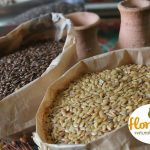 FLOR do Grão faz 13 anos e planeja tele-entrega de produtos naturais