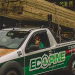 Ecopine, soluções ecológicas e mão-de-obra especializada