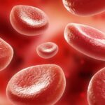 HEMATOLOGISTA e sua múltipla atuação contra doenças do sangue