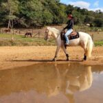 TREINADORA destaca importância do ‘aquecimento’ no trato equino