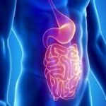 MOLÉSTIAS gástricas e intestinais, as principais do aparelho digestivo