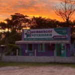 REFERÊNCIA no Sul, Animaníacos festeja sete anos sob nova gestão