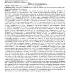 EDITAL Plataforma: terreno com 325,74m2 na Baldicero Filomeno