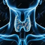Glândula que regula metabolismo, tiroide emite avisos de disfunção